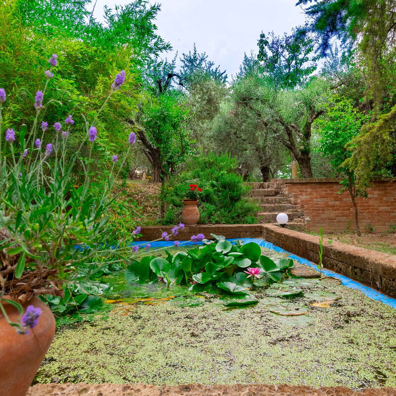 Villa Rosso Corbezzolo