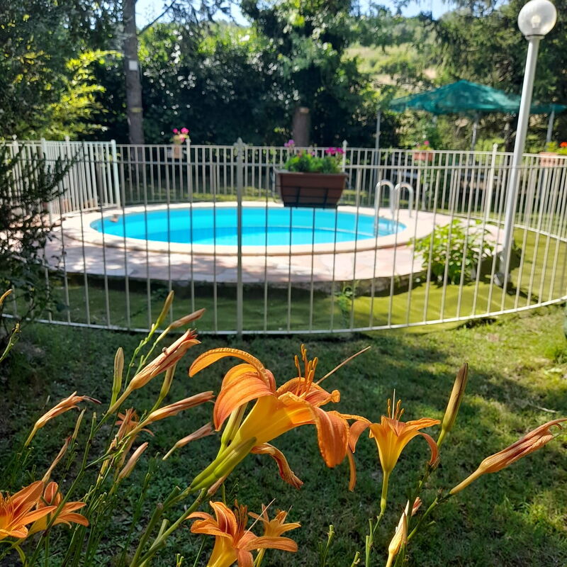 Podere Vallino: Pool