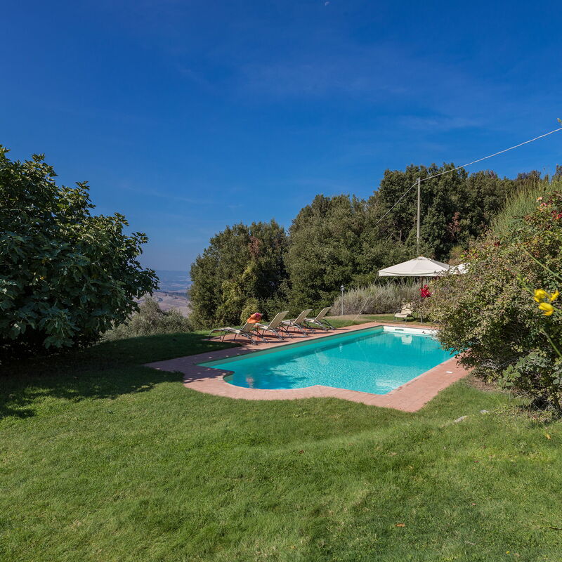 Villa Belvedere: Pool