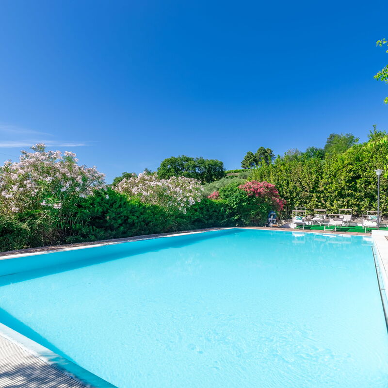 Villa La Pagliarina: Pool