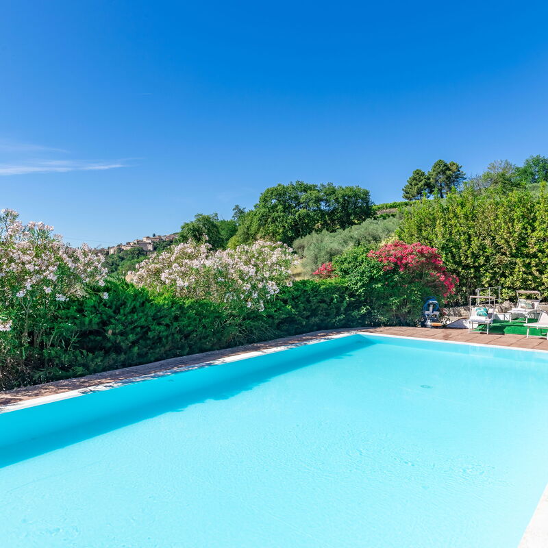 Villa La Pagliarina: Pool