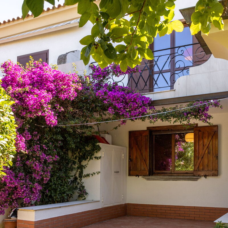 Villa Bellamare: Jardin