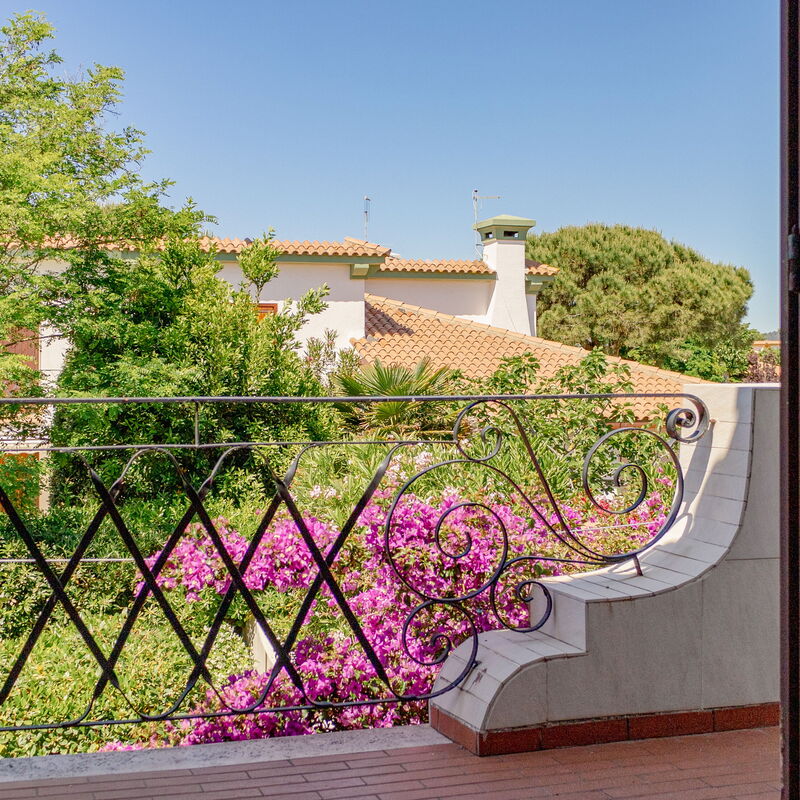 Villa Bellamare: Jardin