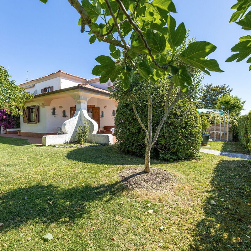 Villa Bellamare: Jardin