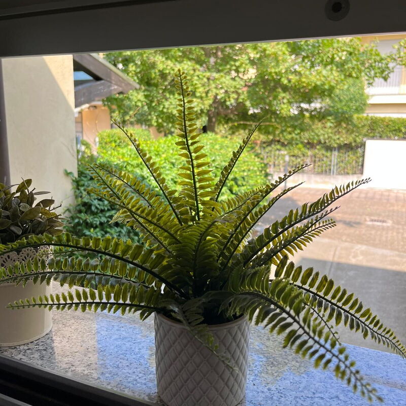 Bell'aria Apartment: Kitchen