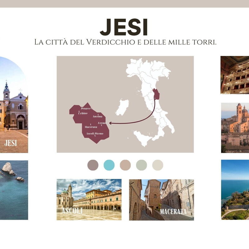 Movie Suite Jesi: Activities