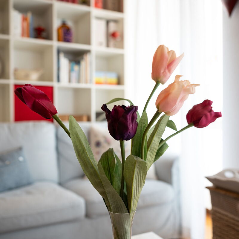 Dafne Suite: Room Detail