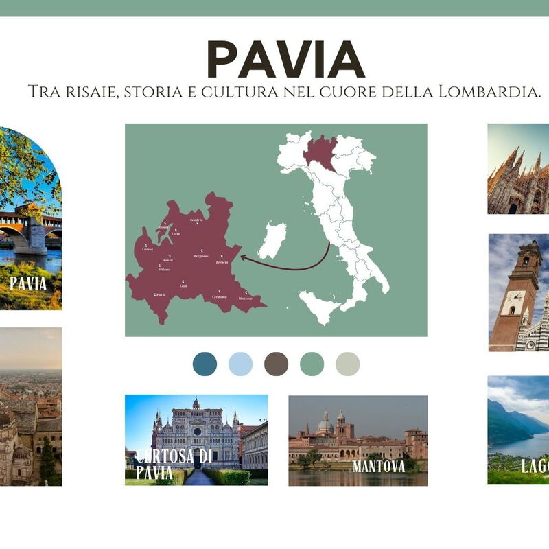 Dafne Suite: Activities