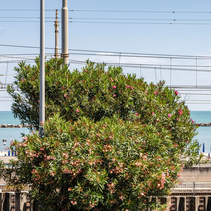 Suite Acquamare: Scenic View