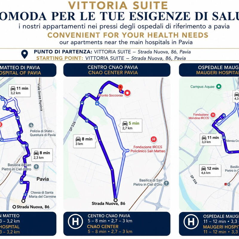 Vittoria Suite: Attività
