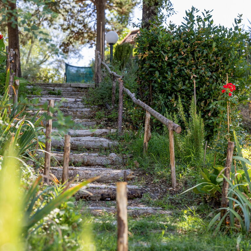 La Pineta Holiday Homes