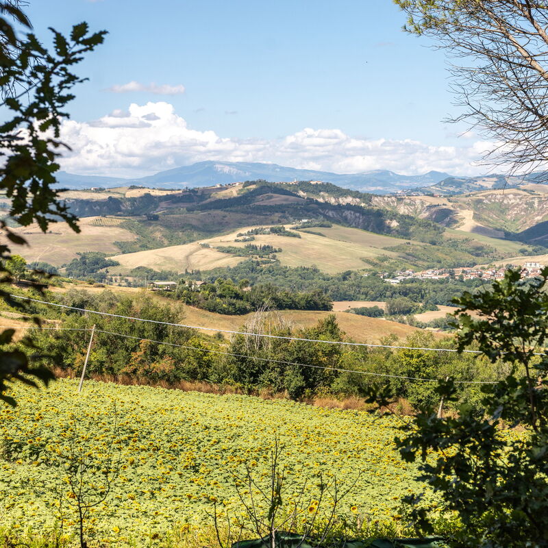 La Pineta Holiday Homes