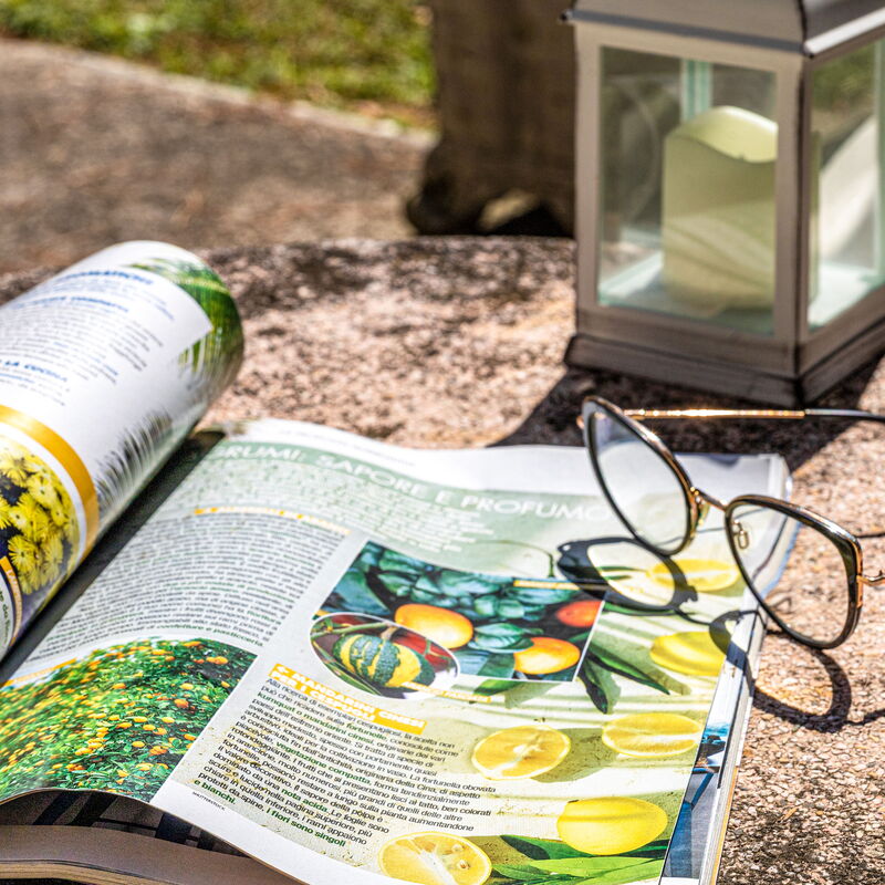 La Pineta Holiday Homes