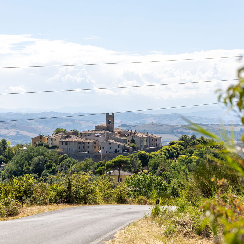 La Pineta Holiday Homes