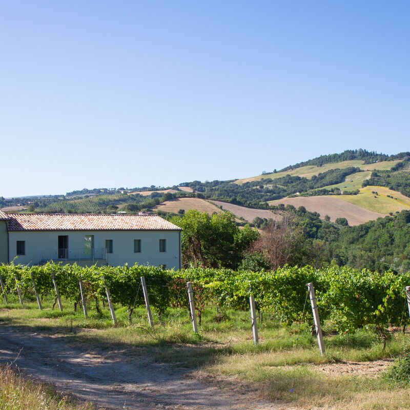 Villa Zena: Building Exterior