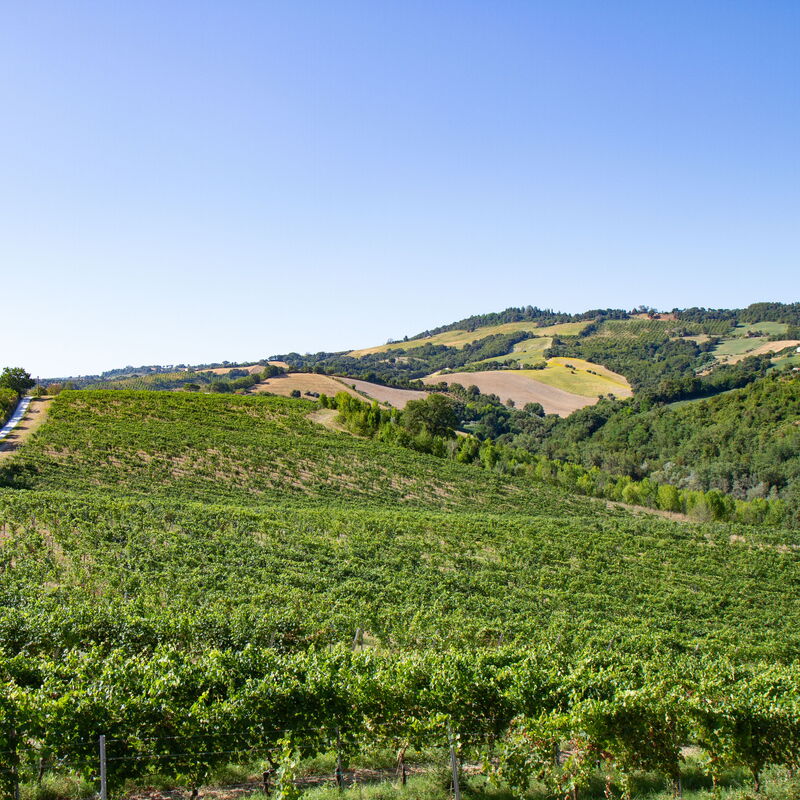 Villa Zena: Building Exterior