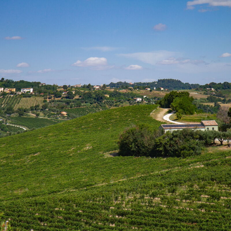 Villa Zena: Building Exterior
