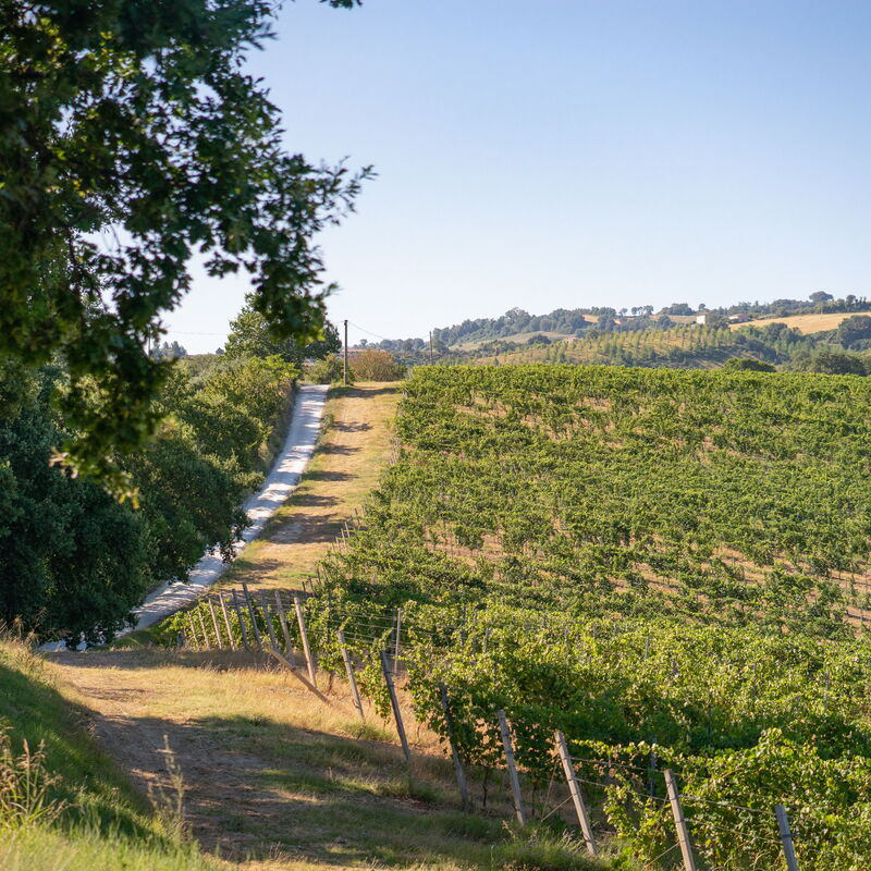 Villa Zena: Building Exterior
