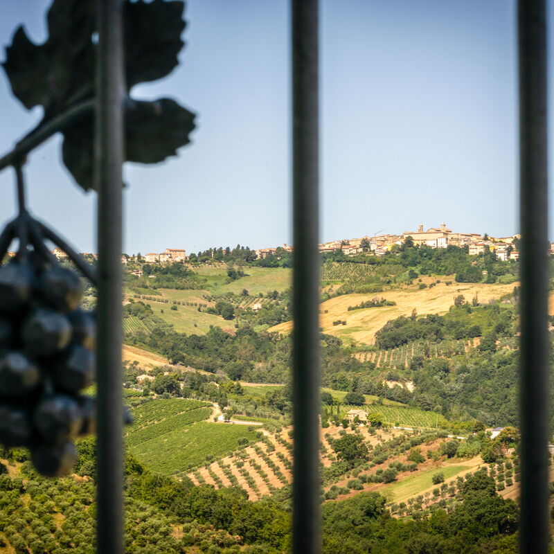 Villa Zena: Building Exterior