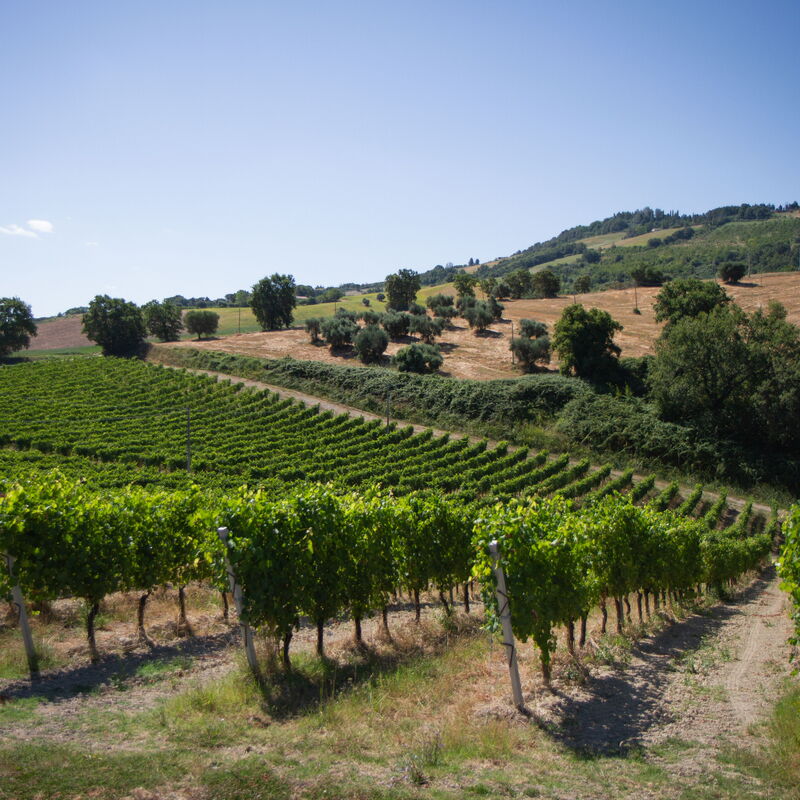 Zena Apartment: Building Exterior