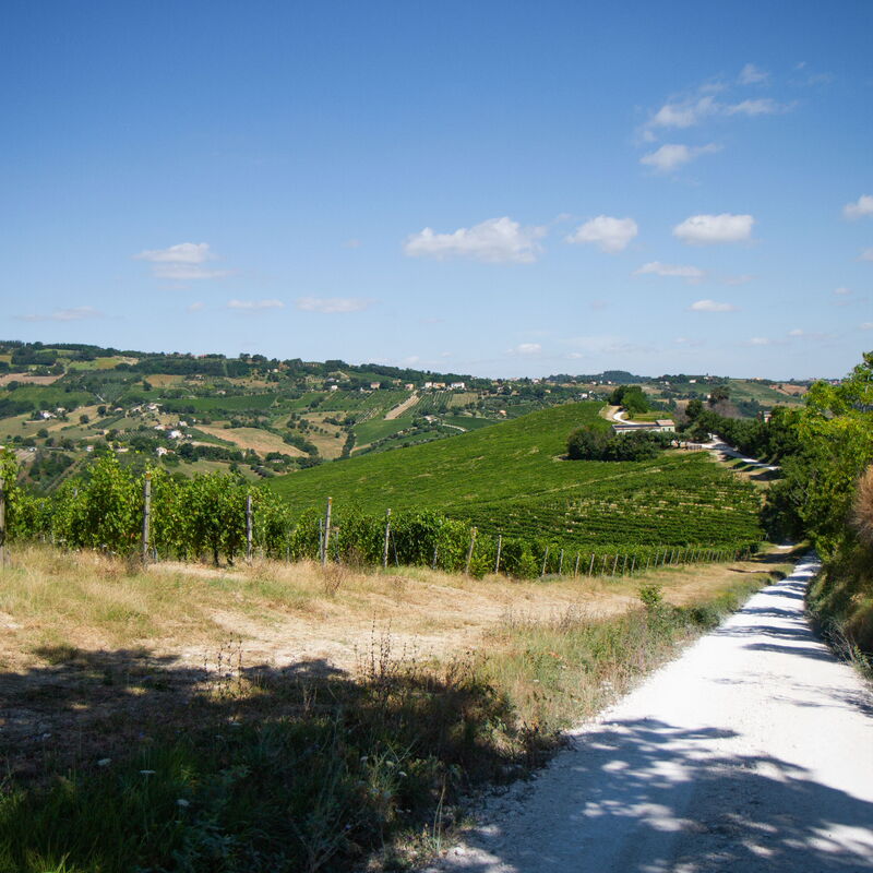 Zena Suite: Building Exterior