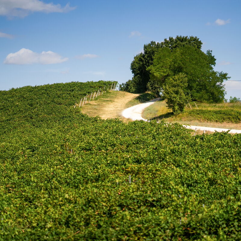 Zena Suite: Building Exterior