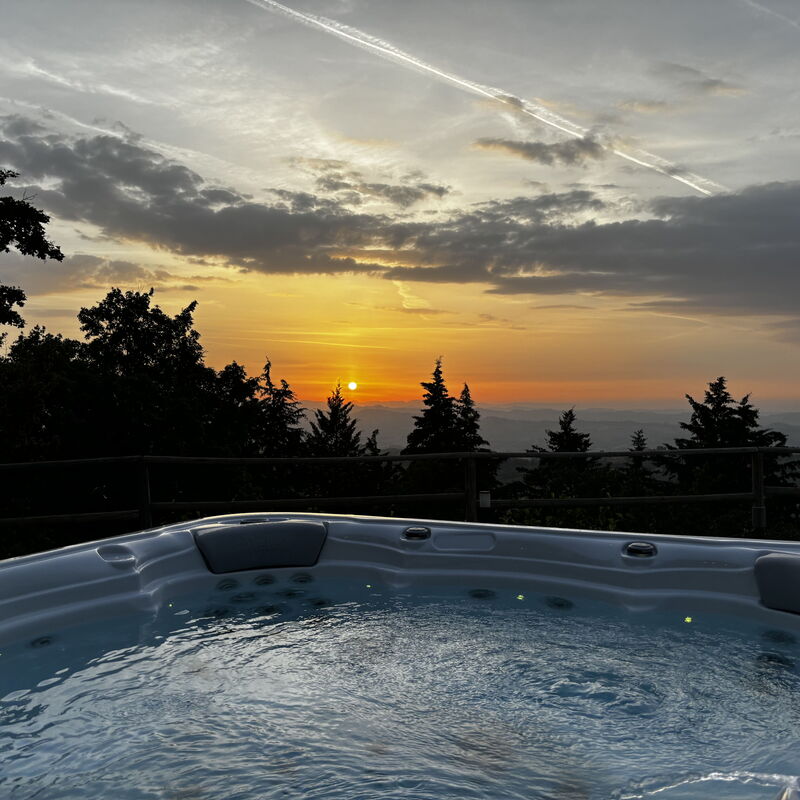 La Casa nel Bosco: Pool