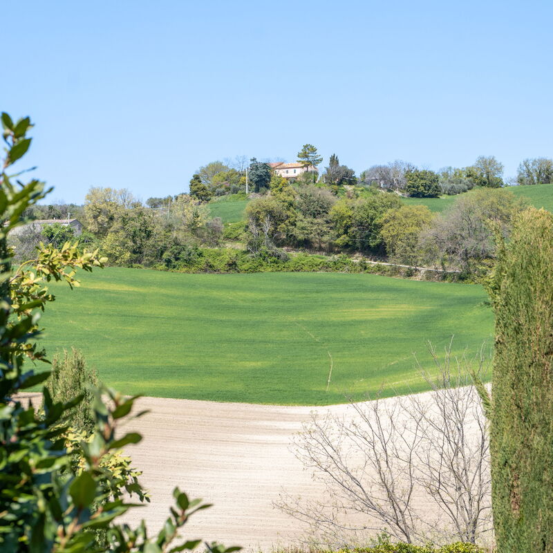 Serafini Holiday Home: Vista Panoramica