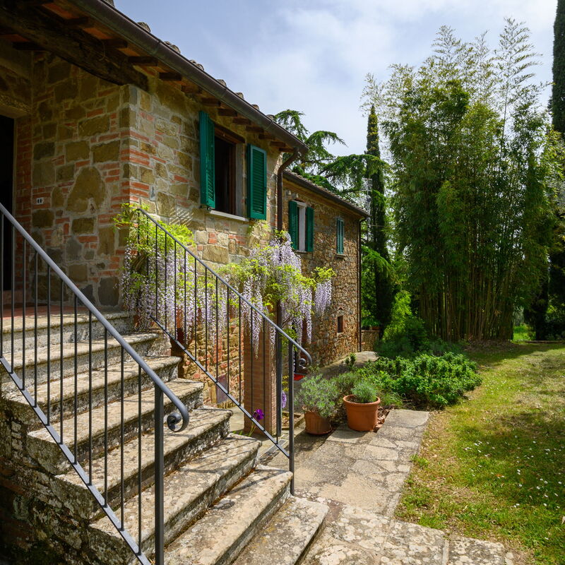 Villa the Horses: Esterni