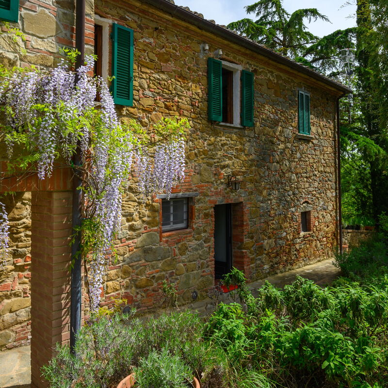 Villa the Horses: Esterni