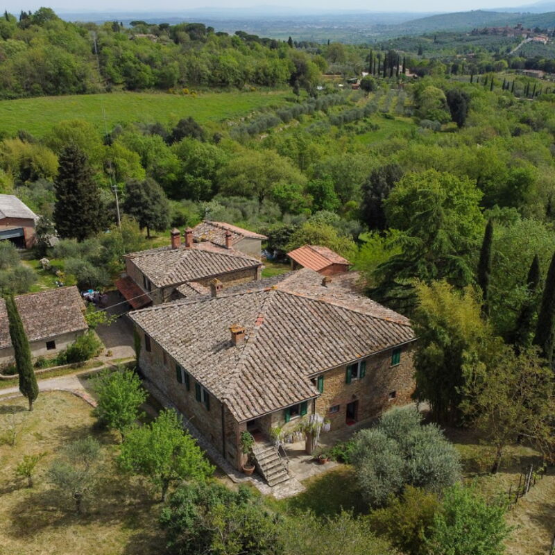 Villa the Horses: Esterni