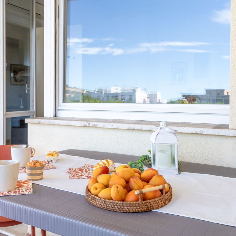 Casabianca: Balcony / Terrace / Patio