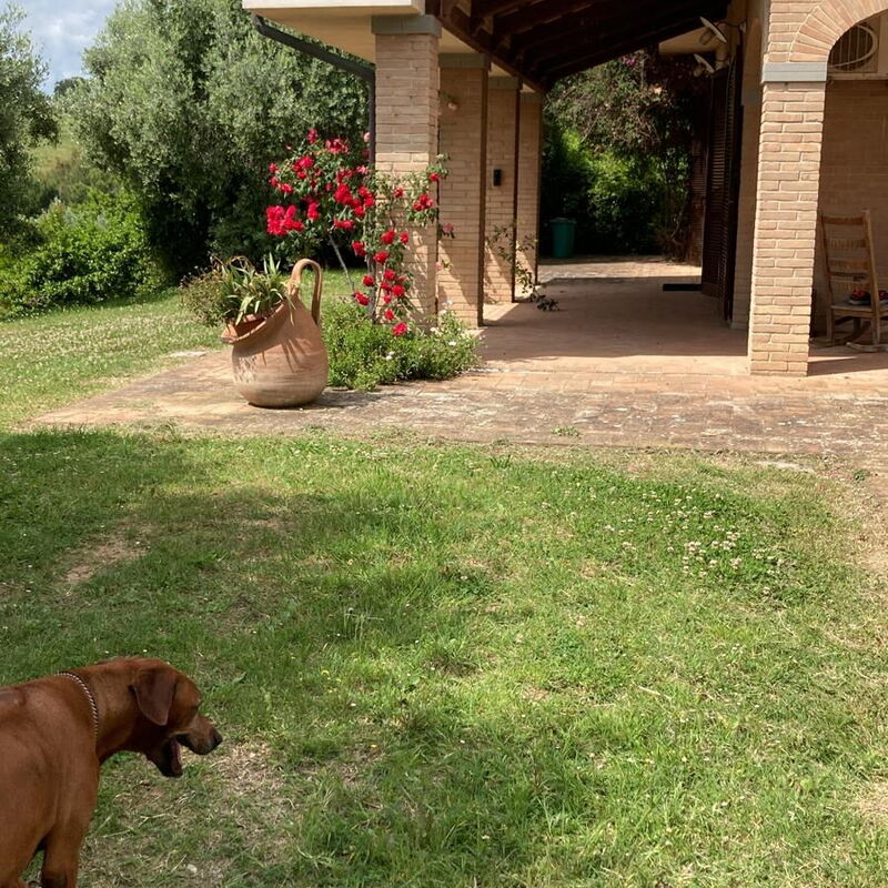 Villa Althea