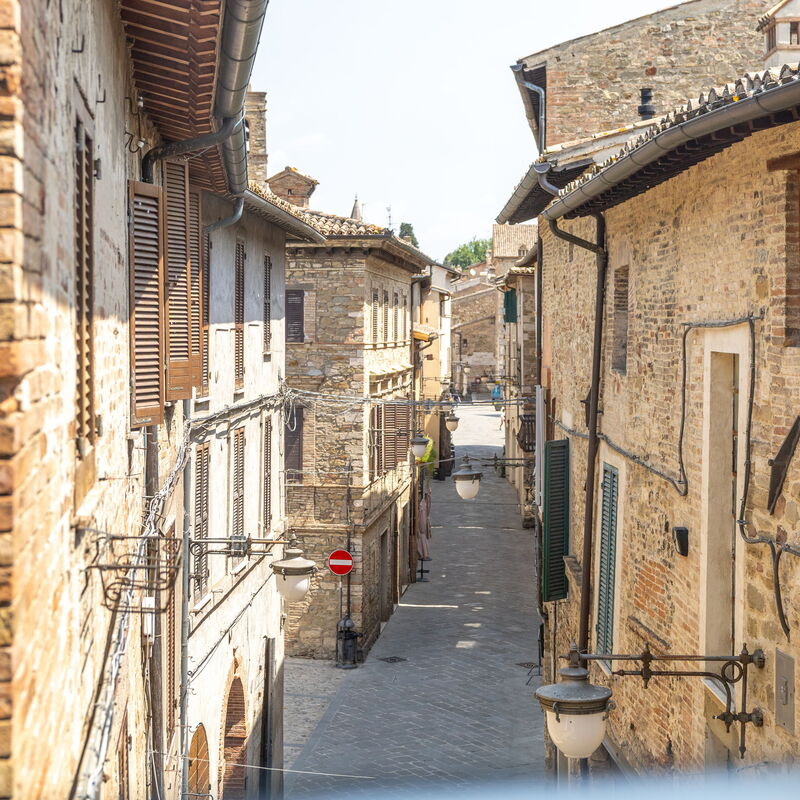 Suite Sinfonia Oro