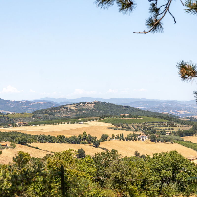 Il Melograno Apartament: Vues