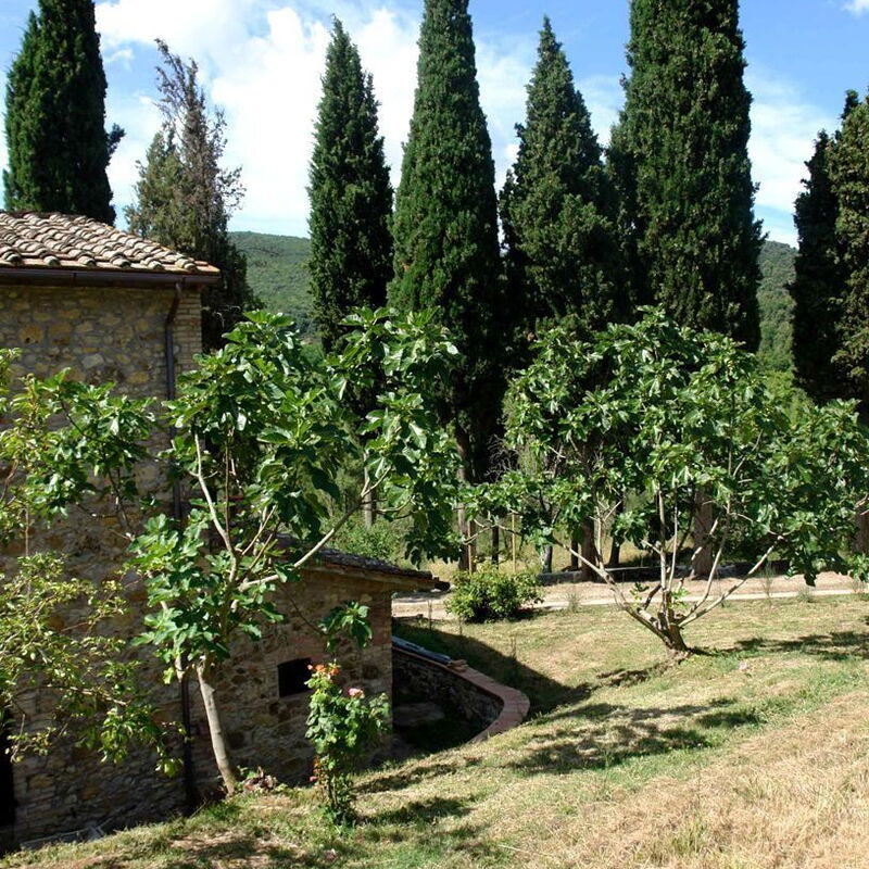 Tenuta Le Sodole