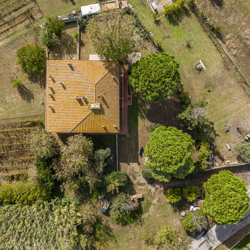 Holiday Home Giannella: Planimetry, Scenic View