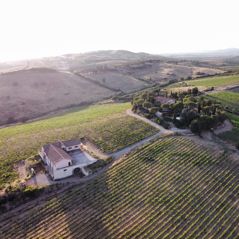 Villa Val Delle Vigne