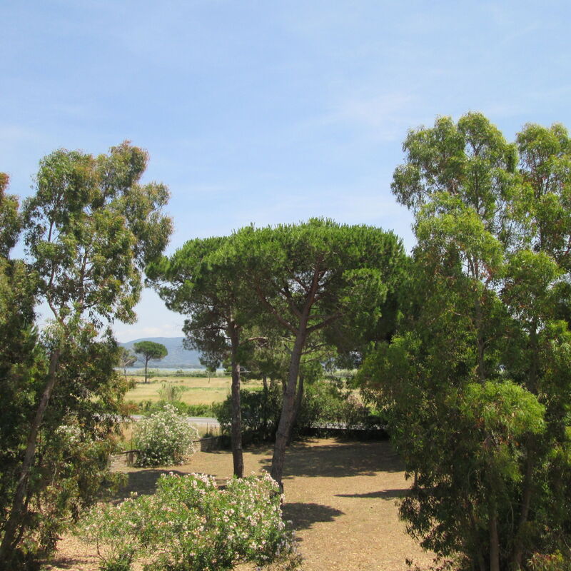 Giannella Holiday Apartment