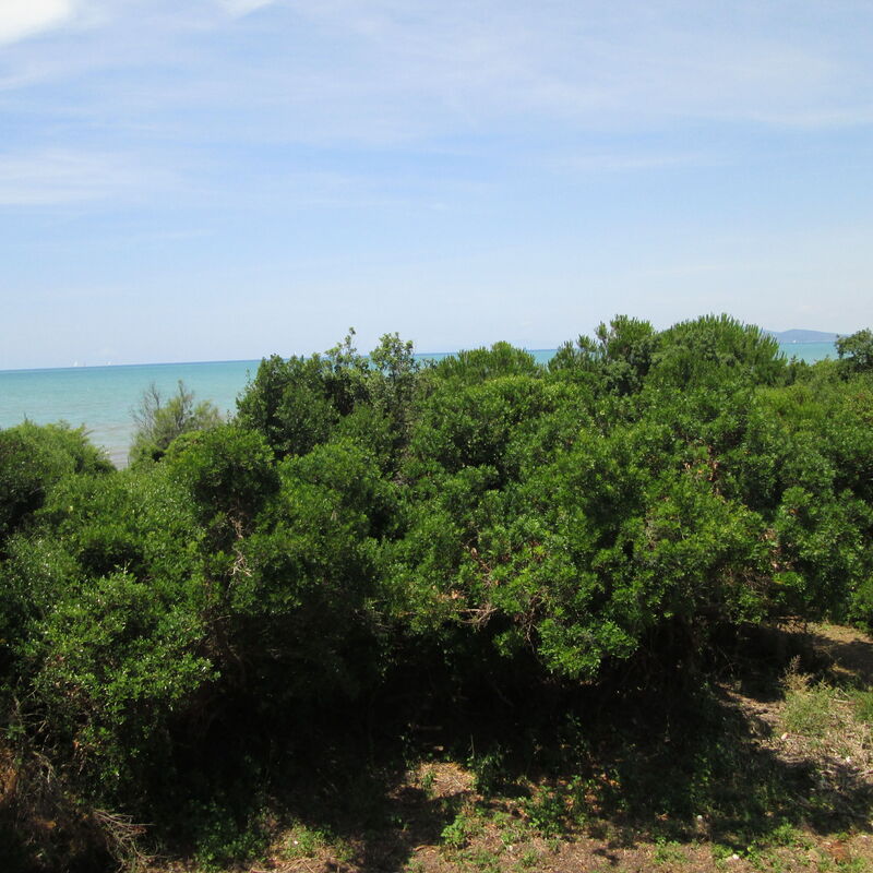 Giannella Holiday Apartment