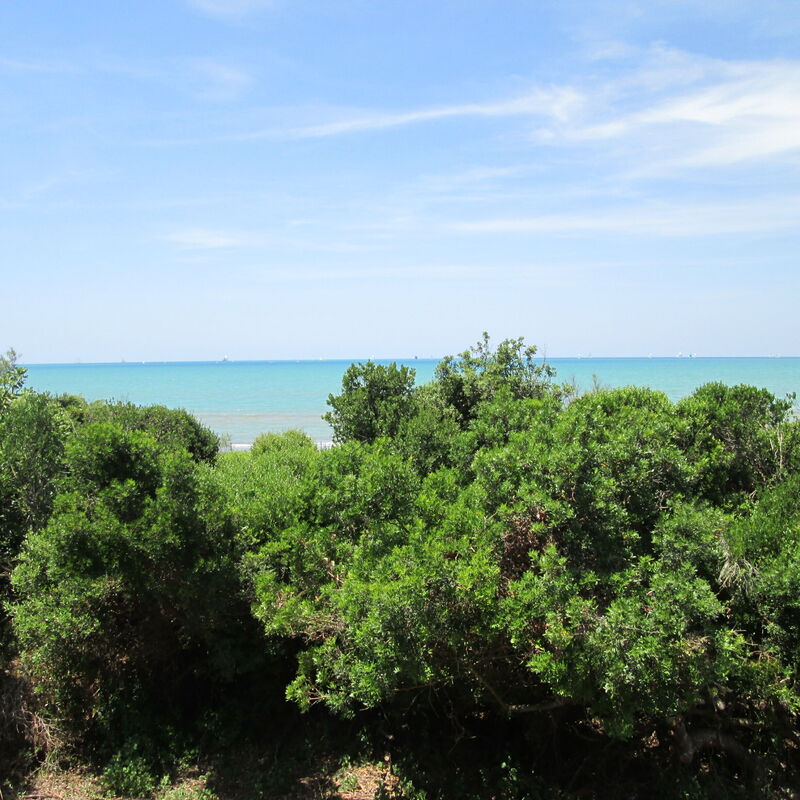 Giannella Holiday Apartment